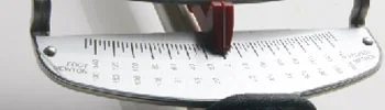 Dual-scale beam type torque wrench scale
